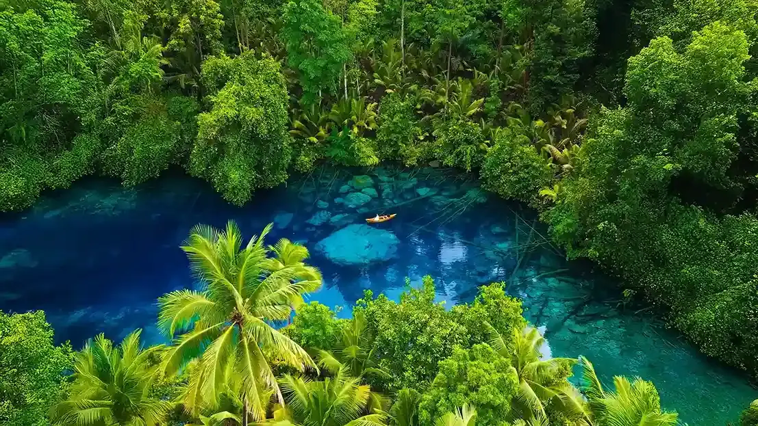 Kayaker on a blue jungle lake seen from above, framed by palms