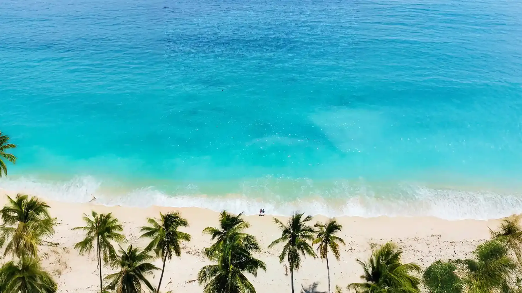 Aerial view of white sand, coconut palms and clear turquoise sea