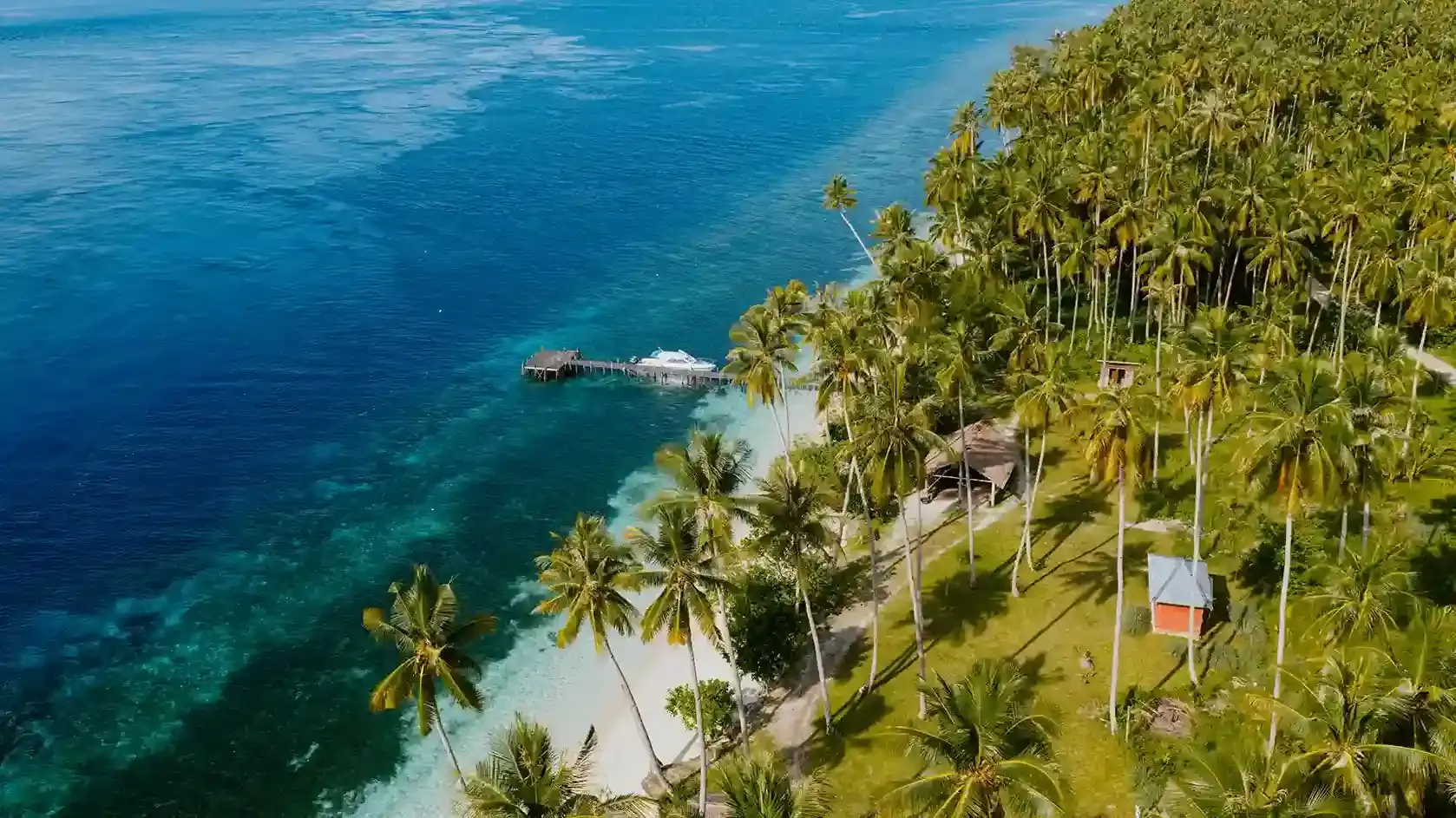 Aerial view of a wooden pier and boat beside a palm-fringed shore