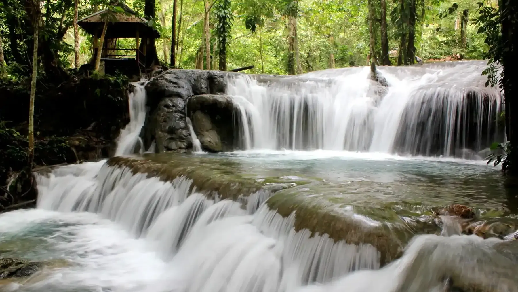 Cascading waterfall beside a wooden shelter in the rainforest
